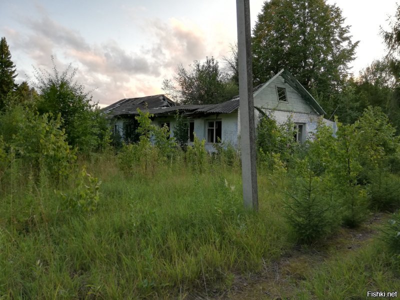 Пионерский лагерь "Ленок" (был) Ивановская область. Фото 2019 г.