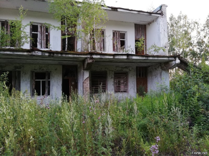 Пионерский лагерь "Ленок" (был) Ивановская область. Фото 2019 г.
