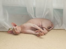 Подборка интересных и веселых картинок 