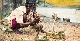 Подборка интересных и веселых картинок 