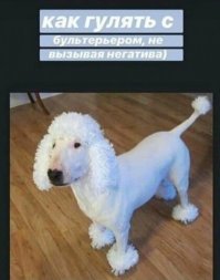 Картинки с надписями