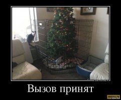 Подборка демотиваторов на разные темы 