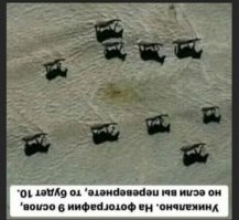 Действительно 10, Чудессааа