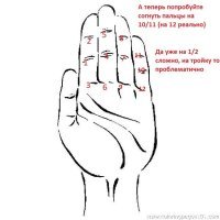 Почему дюжина имеет особое название и зачем ее придумали