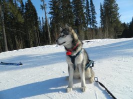 точняк ей не холодно ))