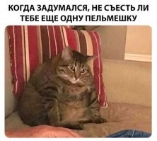 Пельменная география
