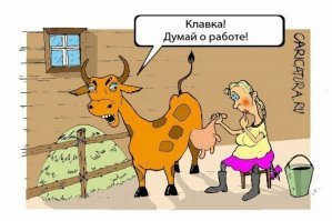 Сельские будни