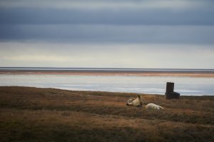у меня не такая крутая оптика, но свои пять копеек добавлю