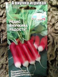 Картинки с надписями