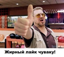 Житель Карелии спас в лесу бельчонка