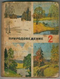 Причины, побуждающие птиц улетать зимой в теплые края