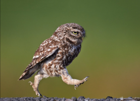 С добрым утром!