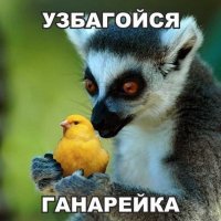 Хочешь лично меня обсудить ?
не вопрос
Знаешь, мою службу Президент государственной наградой оценил, для меня это - высшая оценка.
Такшта пойди попей пивка, прими узбагоительное, стреляная в обойме пулька.....
.