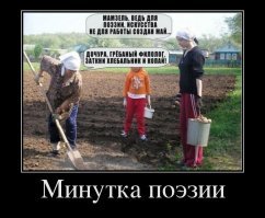 Сельские будни