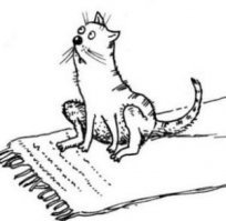 Ковровой дорожки не хватает, для подтирания.