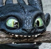 Храбрая слониха защитила своего детеныша от голодных львиц