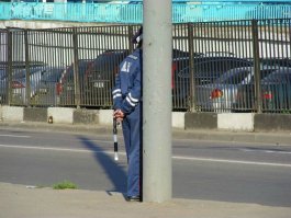 Плут