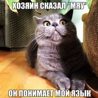 Прикольные и смешные картинки