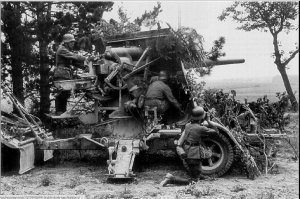 Даже не подумав о том, что животное из-за этого может погибнуть. (ц.)

Видать немцы еще во времена войны тайно расставили по всей Чукотке свои 88-мм зенитные пушки flak 18/36/37 для уничтожения Т-34. С дуру немецкие зенитчики могли и подбить. Типа сарказм, а не какой-то там тупой юмор.