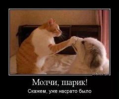 Нашкодивший пёс остался доволен собой