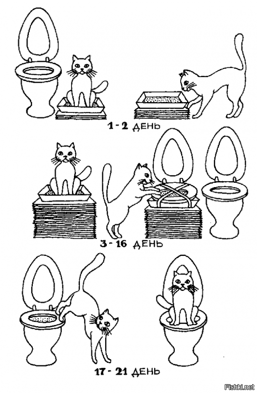 Высокотехнологичный кошачий туалет