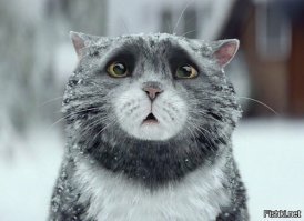 Домой же ехал,а тут такая засада