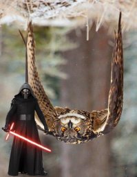 Намешалось