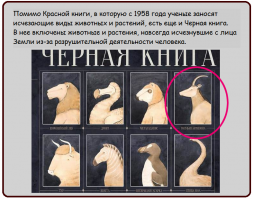 Голубые антилопы вымерли, зато "голубые" люди расплодились.