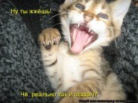 Картинки с надписями