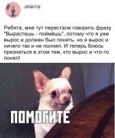 - Да они тоже ничерта не поняли , но притворяются понятливыми. )
