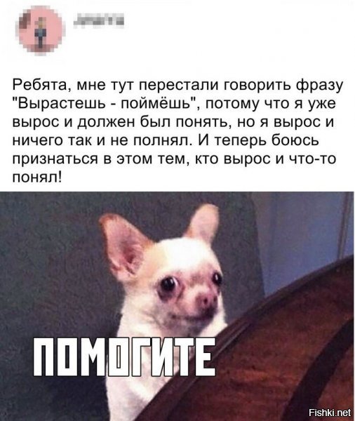 - Да они тоже ничерта не поняли , но притворяются понятливыми. )