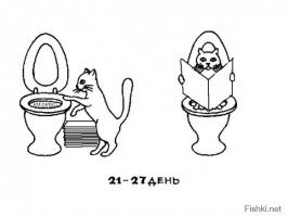 Высокотехнологичный кошачий туалет