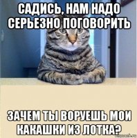 Высокотехнологичный кошачий туалет