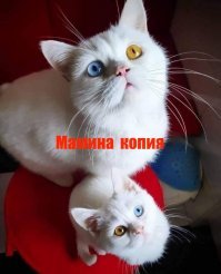Неожиданно: когда действительно есть чему удивиться