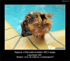 Убойные ситуации из разряда "Капитан Очевидность", которые заставляют улыбаться