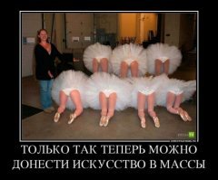 ни когда не приходило в голову рассматривать лебедей с этого ракурса)))