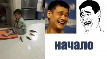 25 фотофактов, объясняющих, кто главный на этой планете