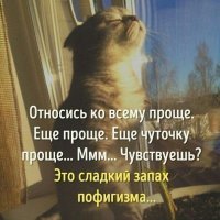 Можно к жизни относиться проще