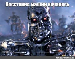 Бешеная приора