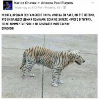 Намешалось