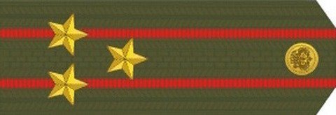 Погоны полковника