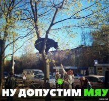 Подборка демотиваторов на разные темы 