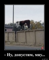 Подборка демотиваторов на разные темы 