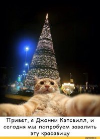 Намешалось