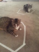 Конструктор вернулся: пост о самых ужасных и изощрённых ловушках