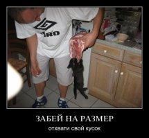Маленький хищник отказывается делиться добычей