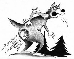 Прикольные и смешные картинки