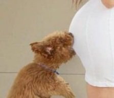 А вот это уже лишнее!