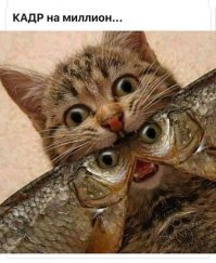 Свежие монстры: российские моряки снова наловили всякой чудо-юдины