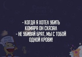 Трагедия Morro Castle: бедствие на лайнере, устроенное национальным героем США